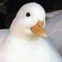 Profile picture of Candice